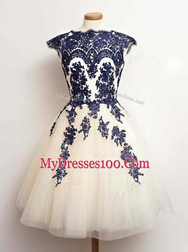 Affordable Blue And White Sleeveless Appliques Mini Length Damas Dress