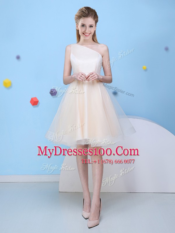 Champagne One Shoulder Neckline Bowknot Quinceanera Court of Honor Dress Sleeveless Lace Up