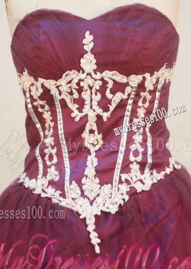 Burgundy Sweetheart Floor Length Quinceanera Dress with Big Appliques