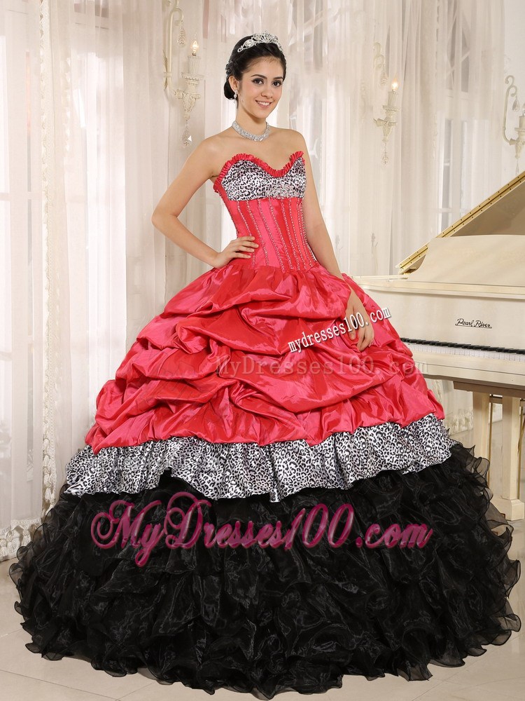 Watermelon and Black Ruffles Quinces Dresses Added Zebra Print