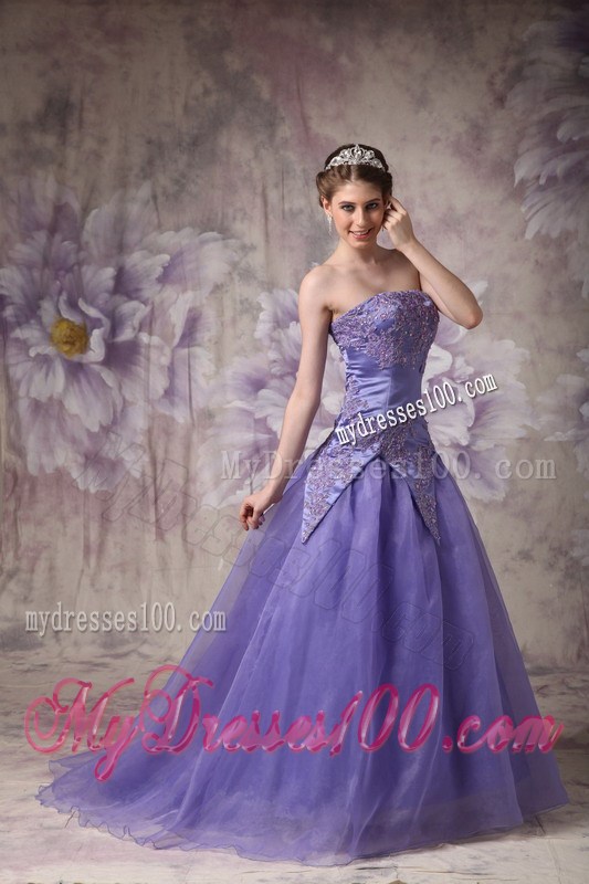 Elegant Purple A-line Strapless Prom / Evening Dress with Appliques