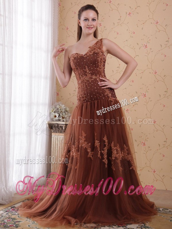 Brown One Shoulder BrushSweep Appliques Celebrity Dress 2013